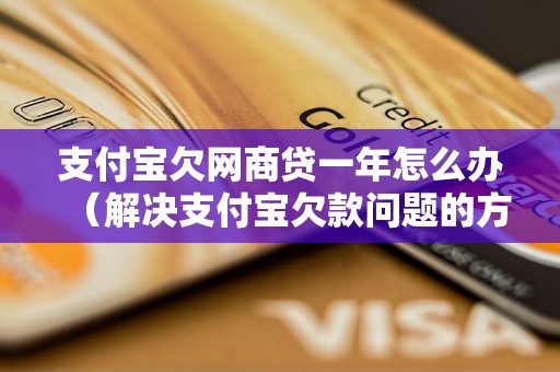 支付宝欠网商贷一年怎么办（解决支付宝欠款问题的方法）