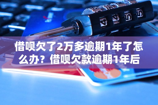 借呗欠了2万多逾期1年了怎么办？借呗欠款逾期1年后果严重吗？