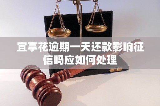 宜享花逾期一天还款影响征信吗应如何处理