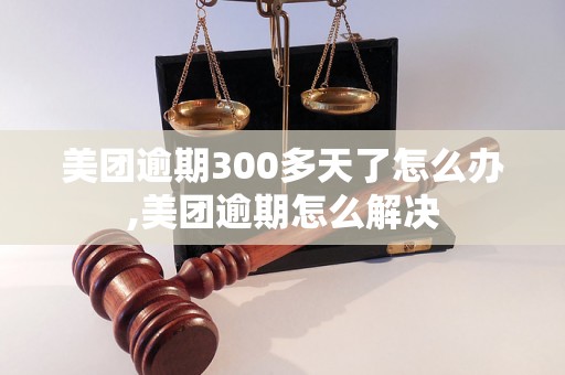 美团逾期300多天了怎么办,美团逾期怎么解决