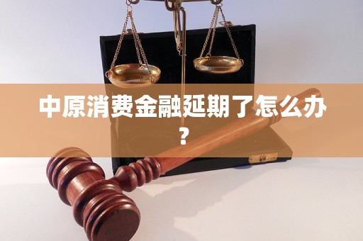 中原消费金融延期了怎么办？