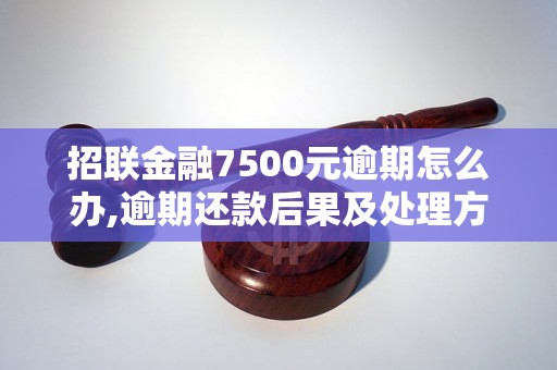 招联金融7500元逾期怎么办,逾期还款后果及处理方法