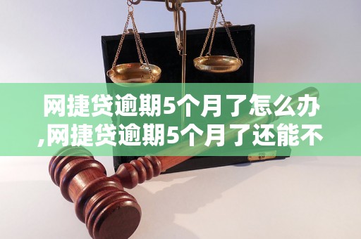 网捷贷逾期5个月了怎么办,网捷贷逾期5个月了还能不能还款