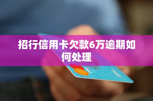 招行信用卡欠款6万逾期如何处理