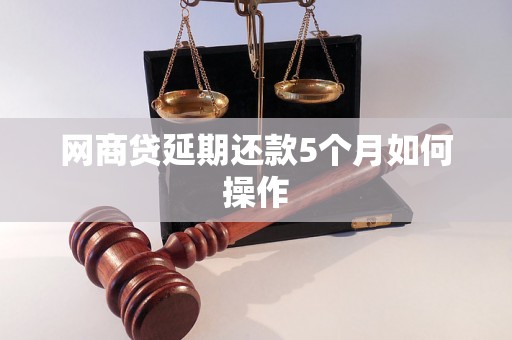 网商贷延期还款5个月如何操作