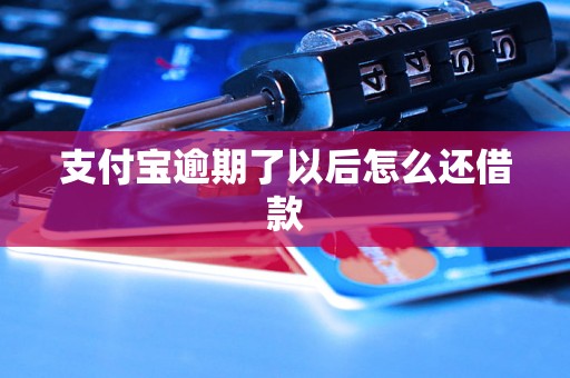 支付宝逾期了以后怎么还借款