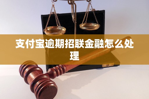 支付宝逾期招联金融怎么处理