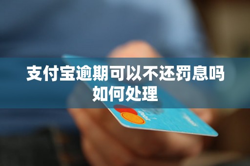 支付宝逾期可以不还罚息吗如何处理