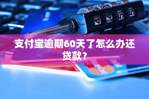 支付宝逾期60天了怎么办还贷款？