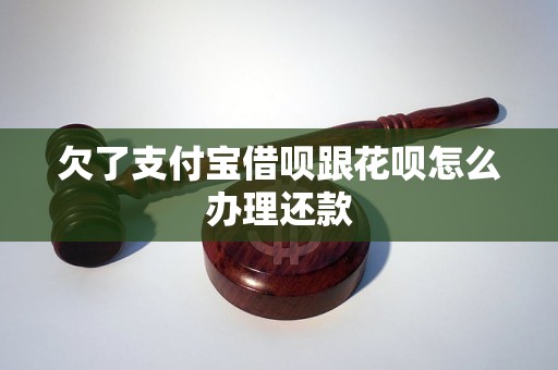 欠了支付宝借呗跟花呗怎么办理还款