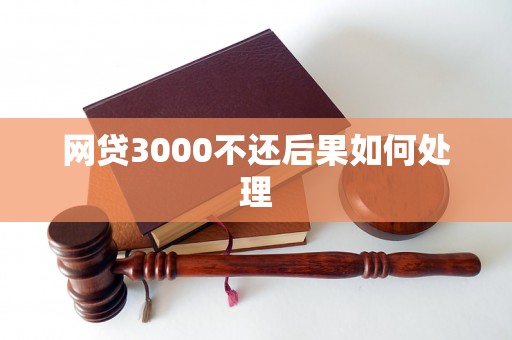 网贷3000不还后果如何处理