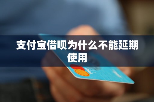 支付宝借呗为什么不能延期使用