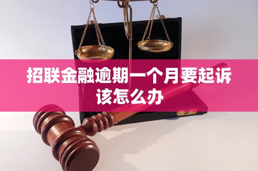 招联金融逾期一个月要起诉该怎么办