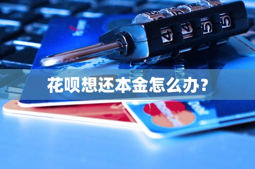 花呗想还本金怎么办？