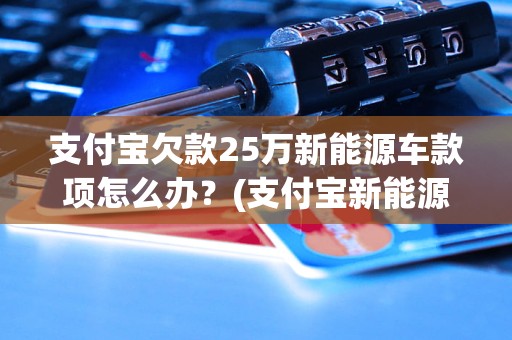 支付宝欠款25万新能源车款项怎么办？(支付宝新能源车款项欠款解决办法)