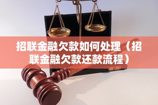 招联金融欠款如何处理（招联金融欠款还款流程）