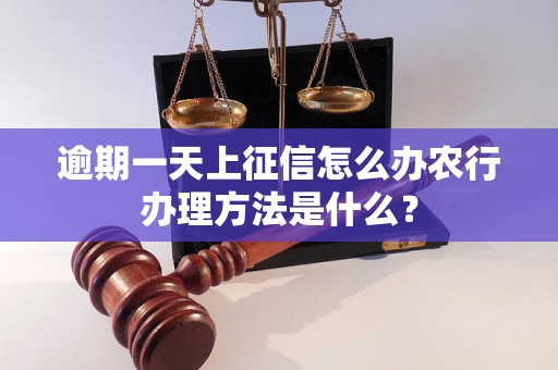 逾期一天上征信怎么办农行办理方法是什么？