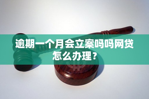 逾期一个月会立案吗吗网贷怎么办理？