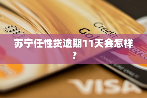 苏宁任性贷逾期11天会怎样？