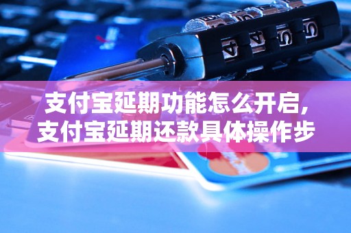 支付宝延期功能怎么开启,支付宝延期还款具体操作步骤