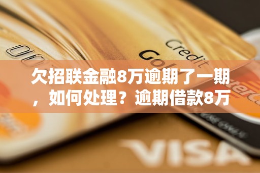 欠招联金融8万逾期了一期，如何处理？逾期借款8万，逾期一期应该怎么办？