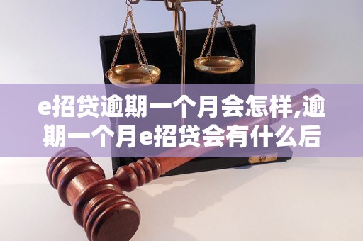 e招贷逾期一个月会怎样,逾期一个月e招贷会有什么后果