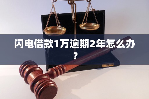 闪电借款1万逾期2年怎么办？