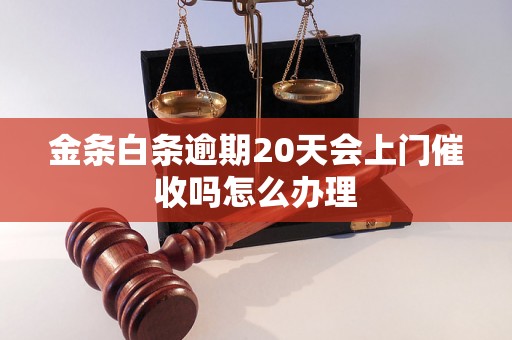 金条白条逾期20天会上门催收吗怎么办理