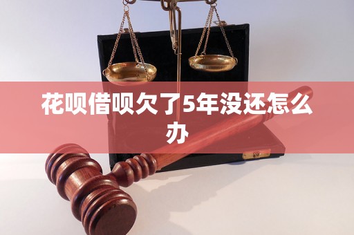 花呗借呗欠了5年没还怎么办