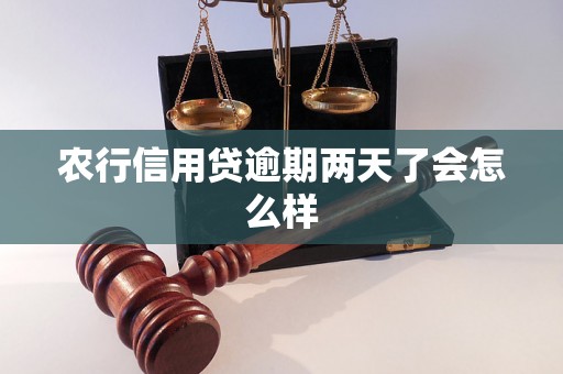 农行信用贷逾期两天了会怎么样