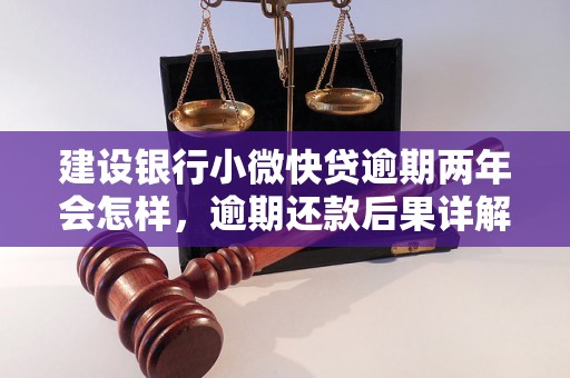 建设银行小微快贷逾期两年会怎样，逾期还款后果详解