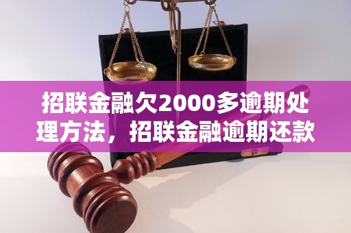 招联金融欠2000多逾期处理方法，招联金融逾期还款后果