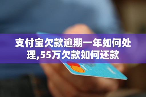 支付宝欠款逾期一年如何处理,55万欠款如何还款