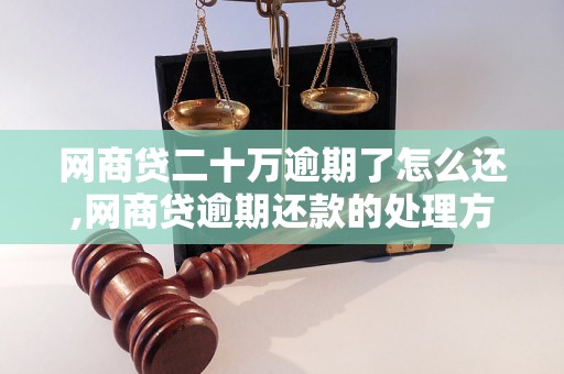 网商贷二十万逾期了怎么还,网商贷逾期还款的处理方法