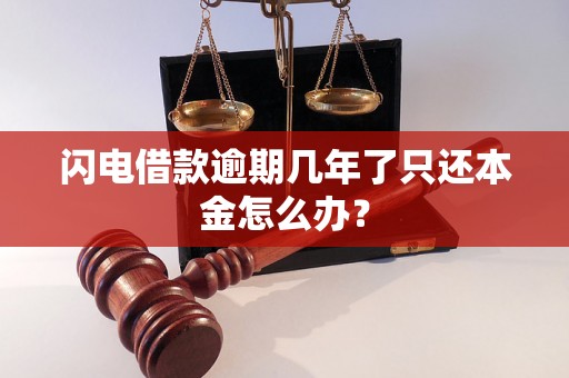 闪电借款逾期几年了只还本金怎么办？