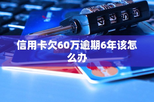 信用卡欠60万逾期6年该怎么办