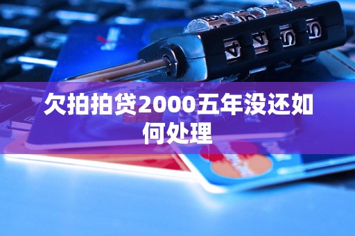 欠拍拍贷2000五年没还如何处理