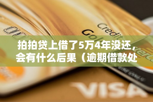 拍拍贷上借了5万4年没还，会有什么后果（逾期借款处理流程详解）