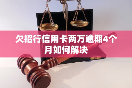 欠招行信用卡两万逾期4个月如何解决