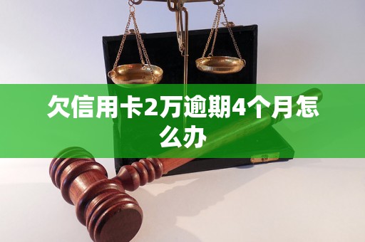 欠信用卡2万逾期4个月怎么办