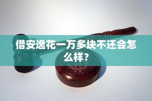 借安逸花一万多块不还会怎么样？