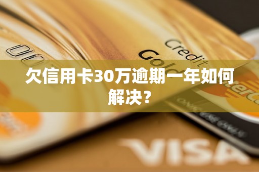 欠信用卡30万逾期一年如何解决？