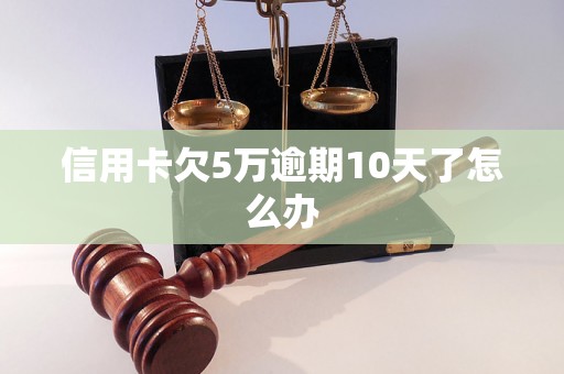 信用卡欠5万逾期10天了怎么办