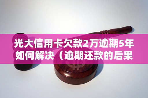 光大信用卡欠款2万逾期5年如何解决（逾期还款的后果和处理方法）