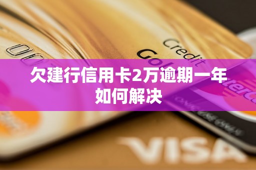 欠建行信用卡2万逾期一年如何解决