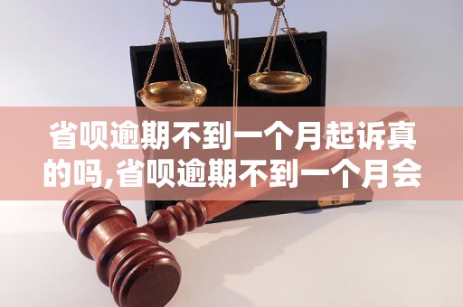 省呗逾期不到一个月起诉真的吗,省呗逾期不到一个月会被起诉吗