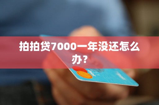 拍拍贷7000一年没还怎么办？