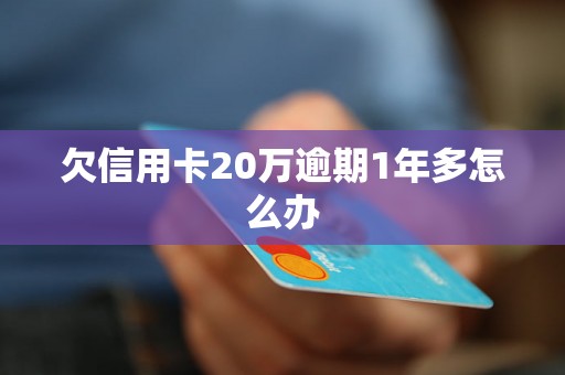 欠信用卡20万逾期1年多怎么办