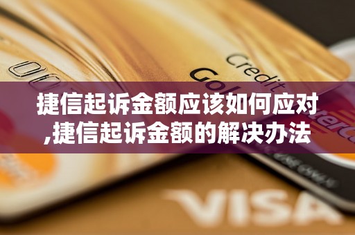 捷信起诉金额应该如何应对,捷信起诉金额的解决办法