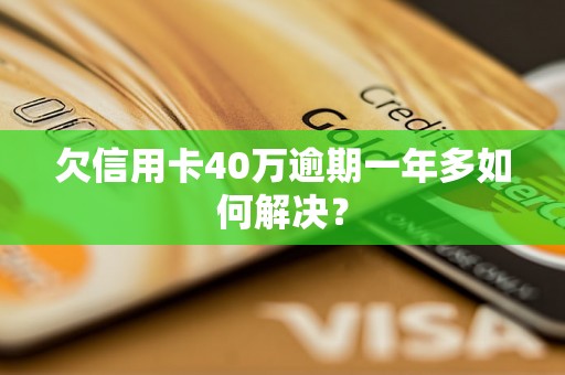 欠信用卡40万逾期一年多如何解决？